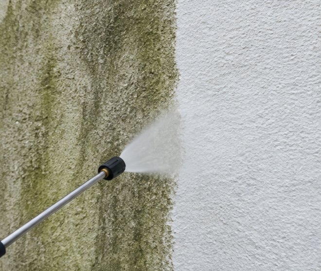 Render Soft Wash - before and after